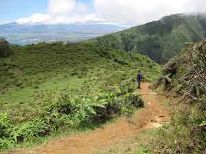 15_3_3_Waihee_Ridge_Trail.jpeg
