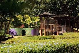 18_3_Na_Aina_Kai_Botanical_Gardens_and_Sculpture_Park.jpeg