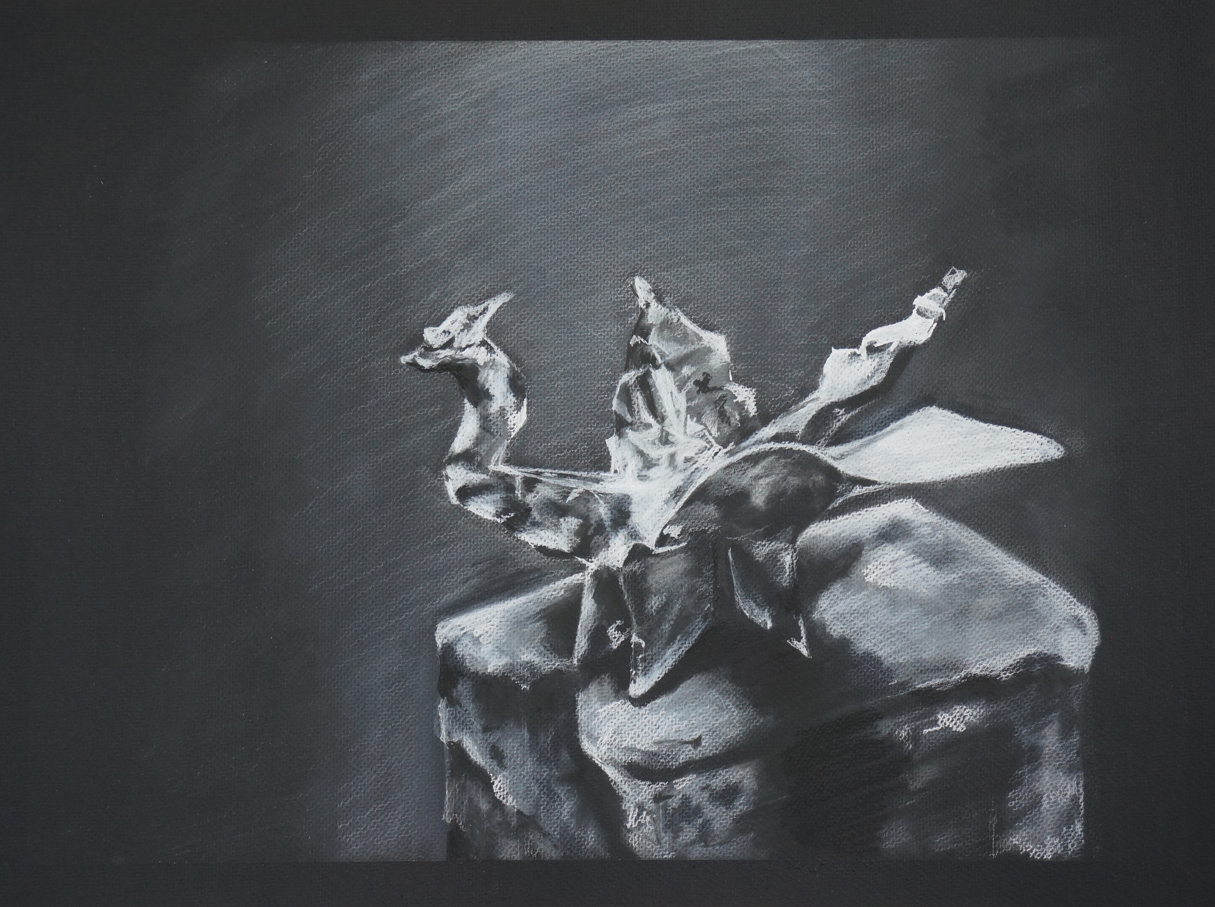  Charcoal on black paper 