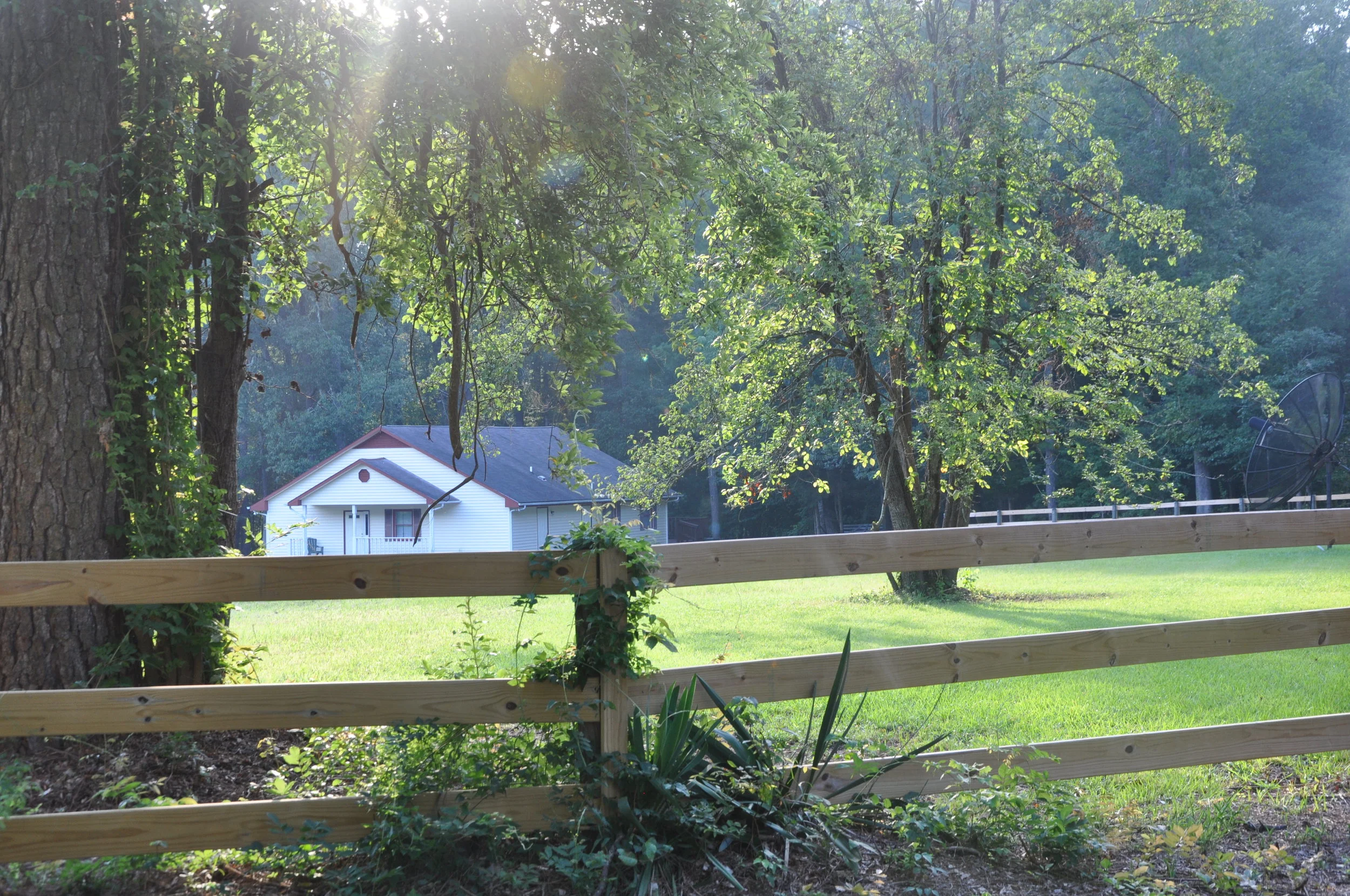 DSC_0207.JPG