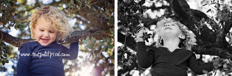 Enfant dans un arbre