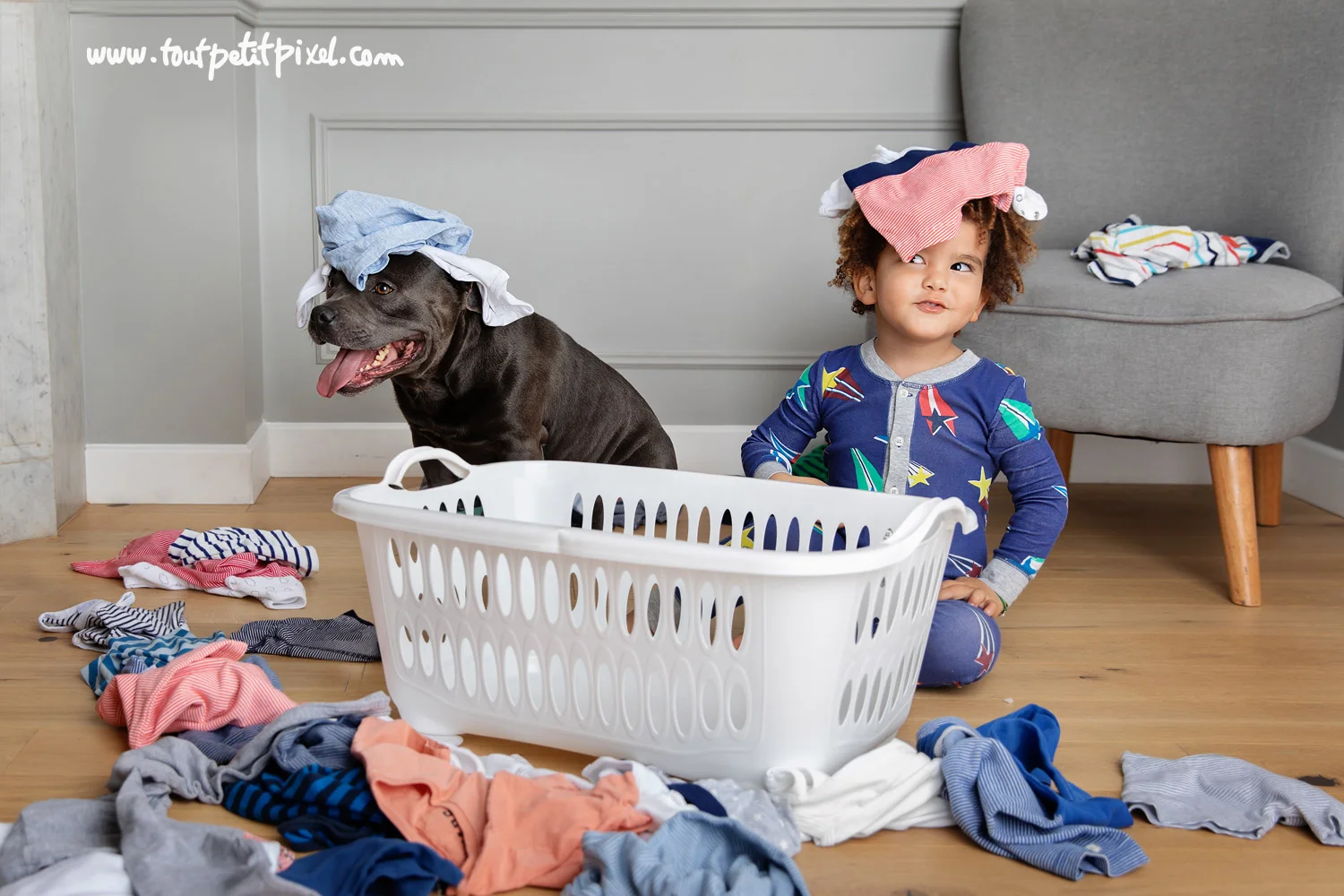 Photographe-lifestyle-enfant-chien.jpg