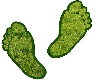 Big Foot is a Gasbag and He's Living in My House