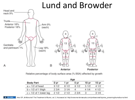 Pediatric Burn Percentage Chart