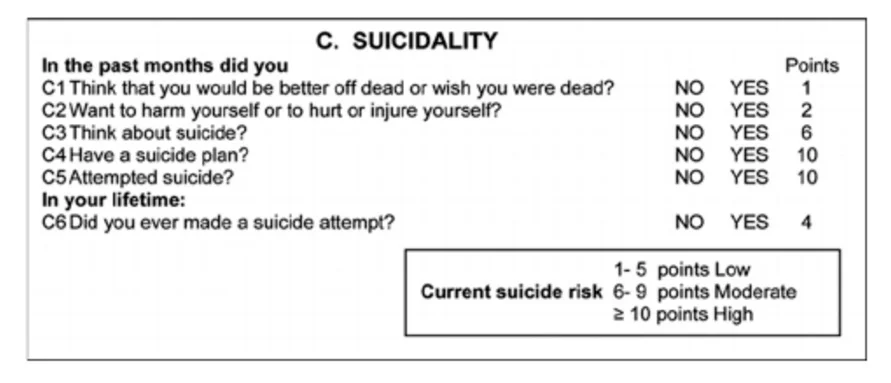 FIGURE 2. ITEMS, SCORE WEIGHTS, AND SUMMARY SCORES FOR CATEGORY C. SUICIDALITY (MINI NEUROPSYCHIATRIC INTERVIEW (ROALDSET ET AL.)