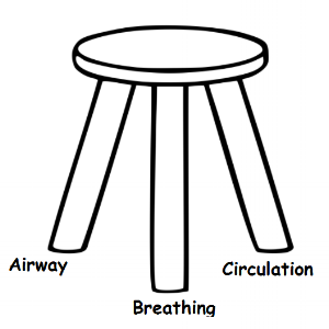 GIB 3 legged stool.png