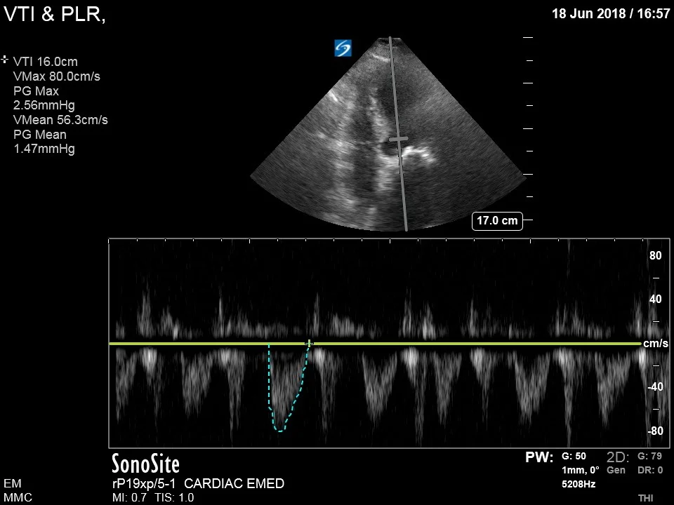 figure 4.jpg