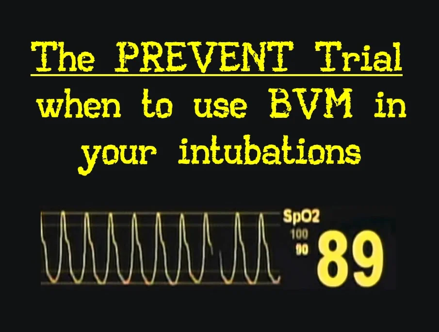 prevent_cover2.jpg
