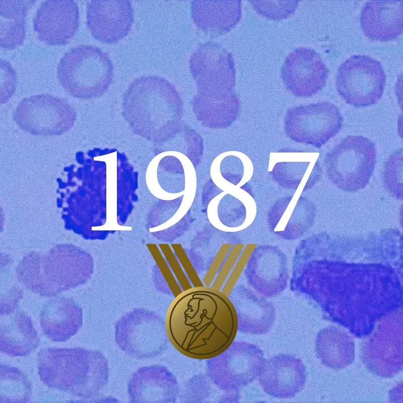 1987.jpg