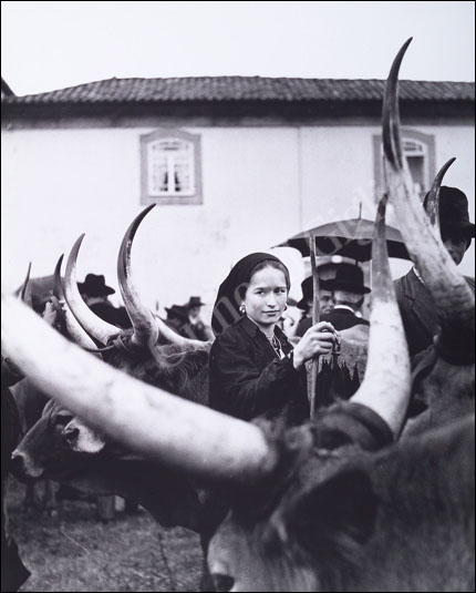 Young girl and oxen - 1957