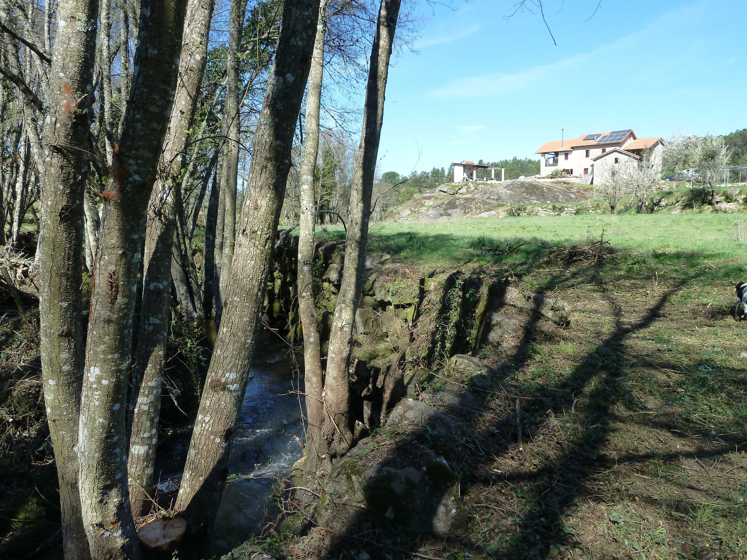 Welcome to our new Blog!