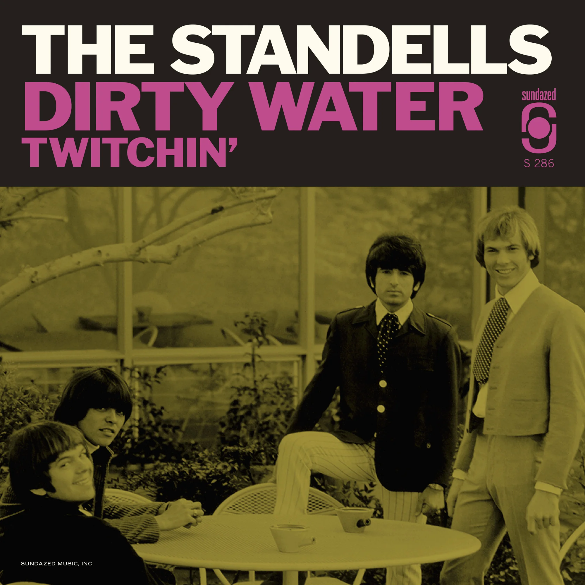Standells Sleeve 2.jpg