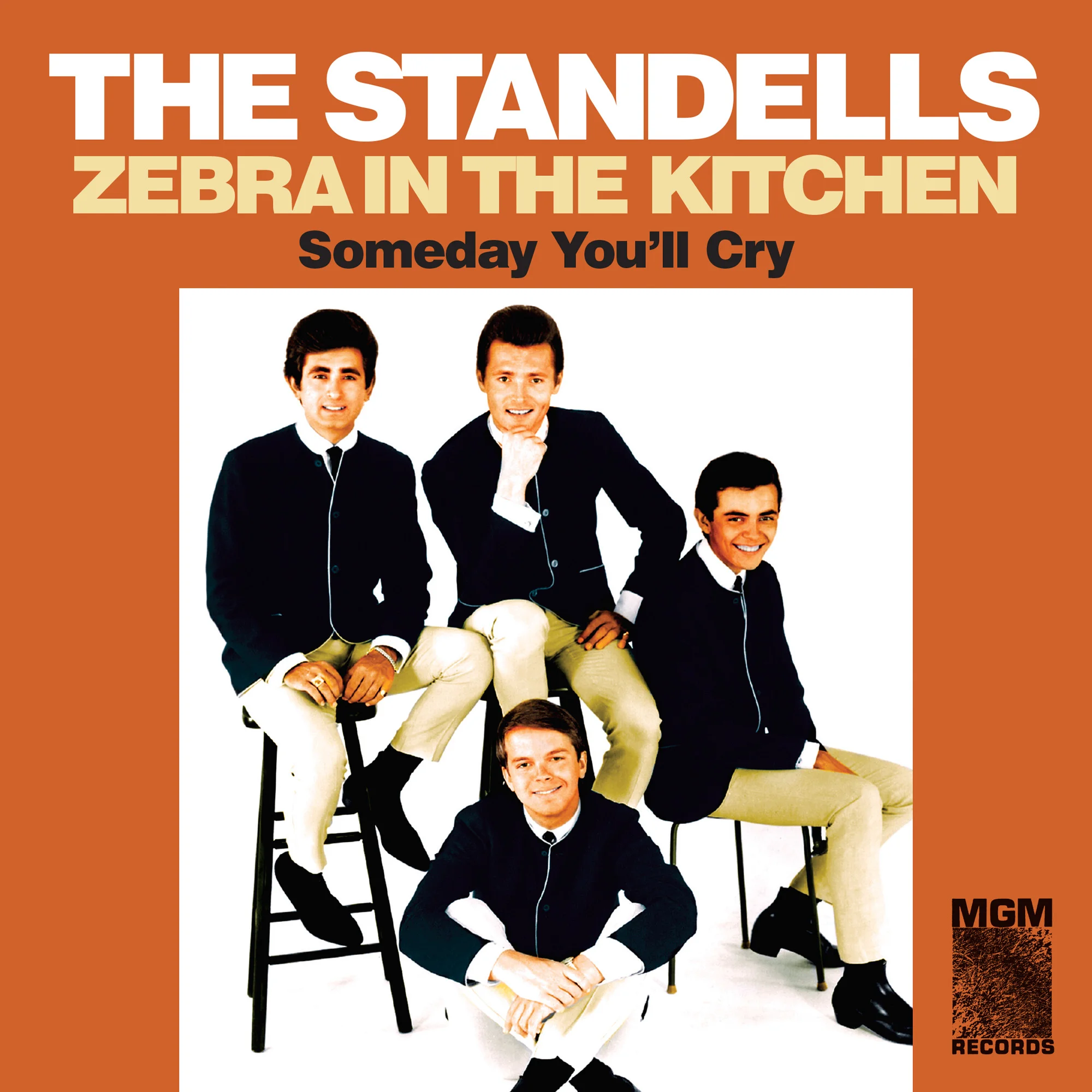 Standells Sleeve.jpg