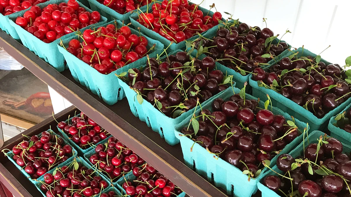 Ridgetop+Cherry+1.jpg