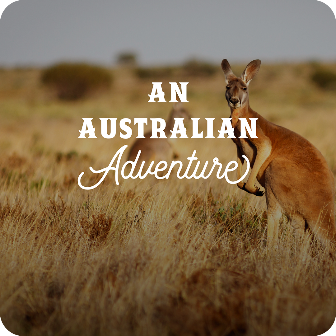 an_australian_adventure.png