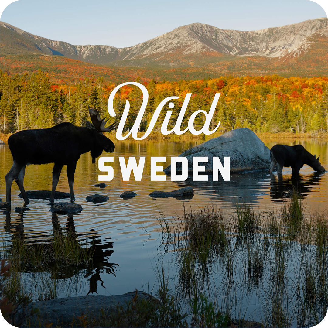 wild_sweden_cover.png