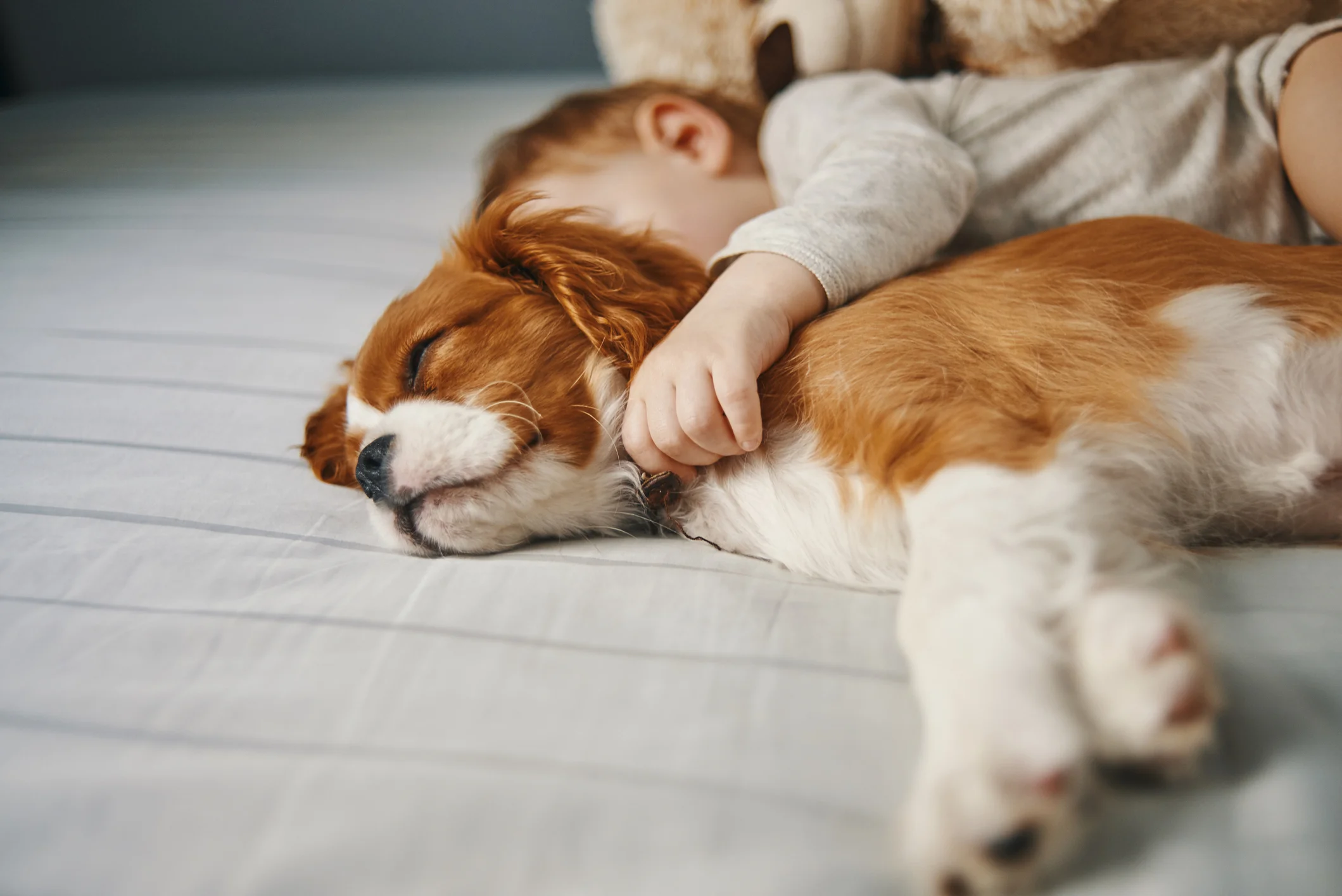 iStock-939584522.jpg