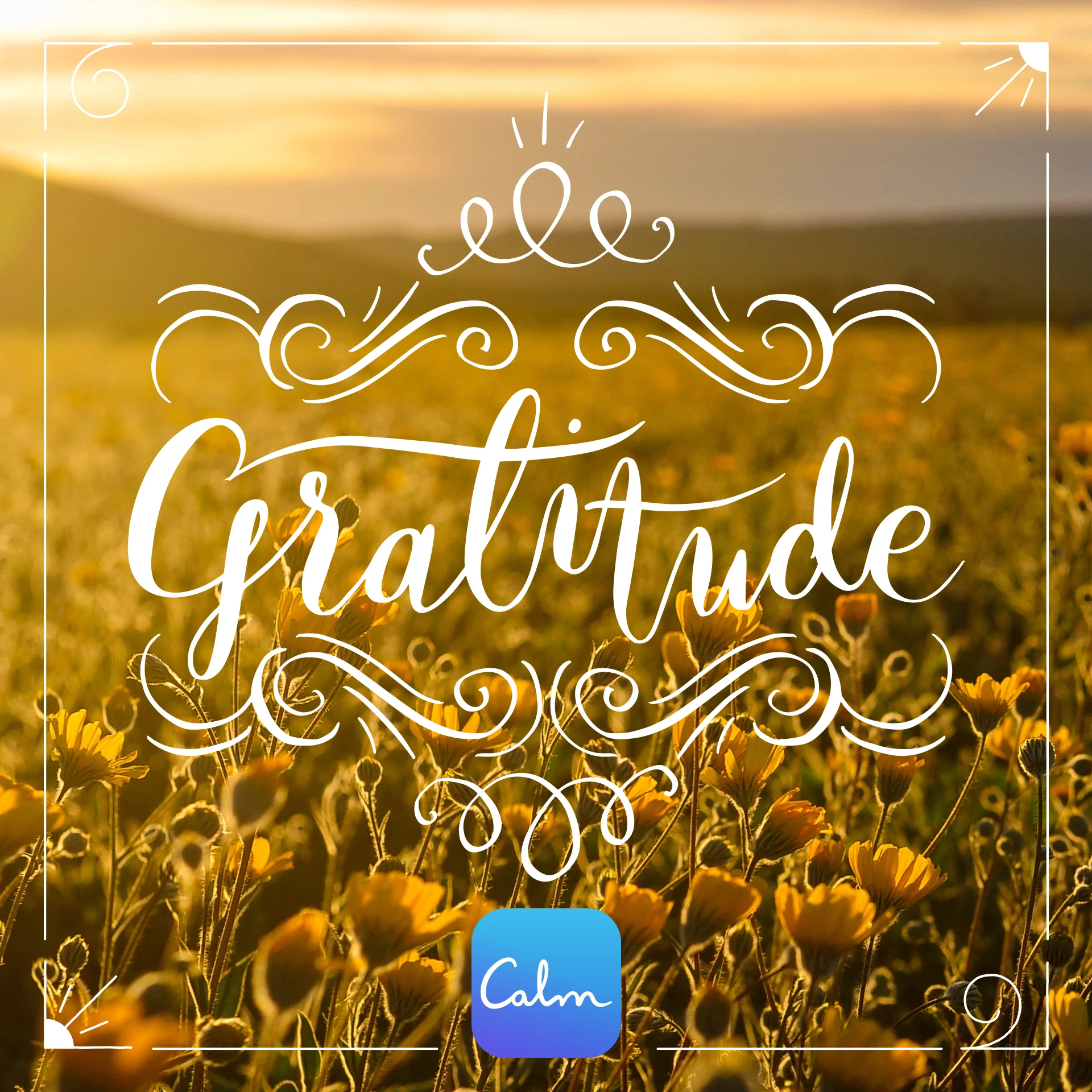 Gratitude Calm Blog