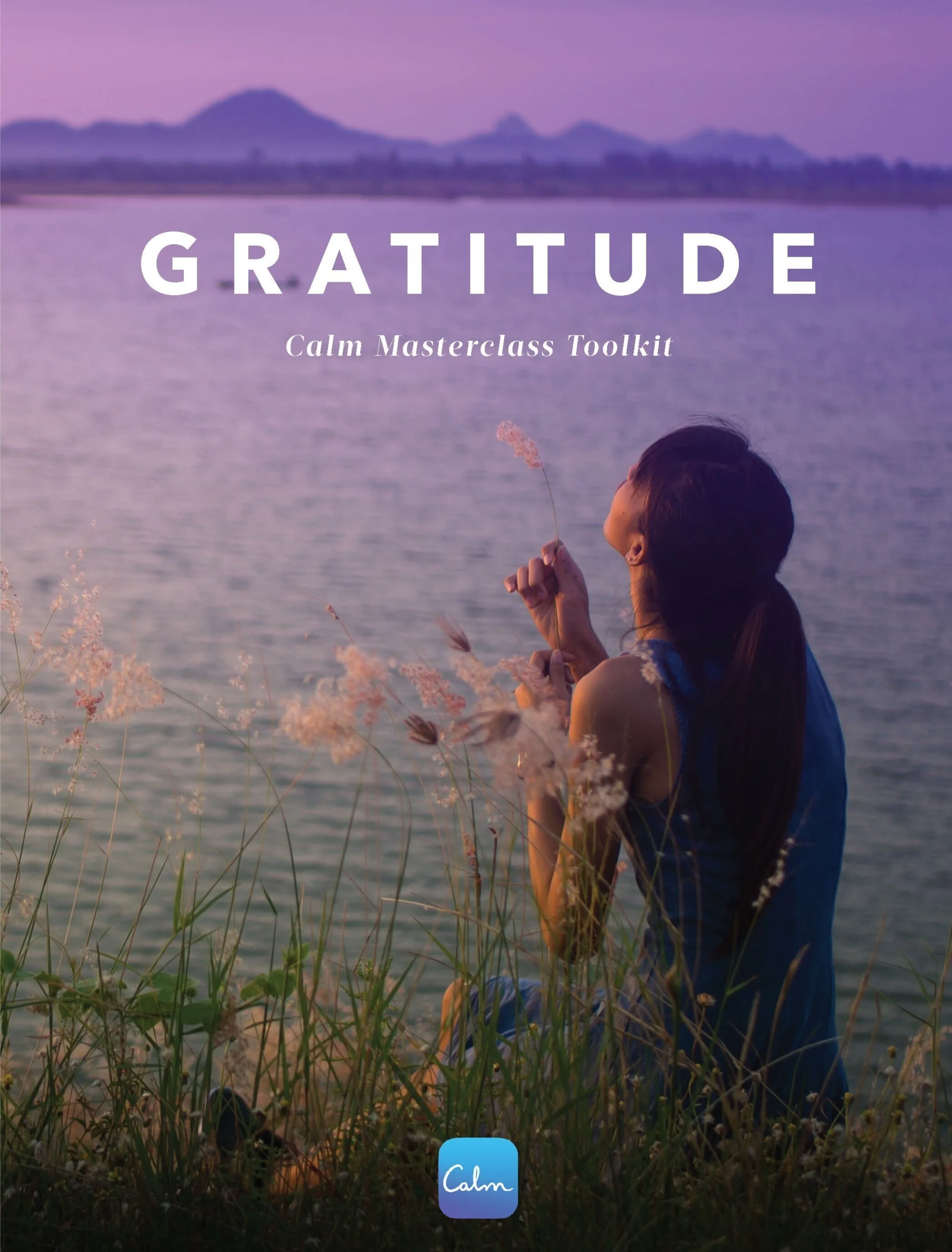 Gratitude%2BToolkit_Page_01.jpg