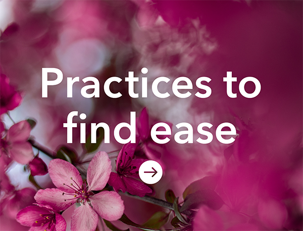 Practices to find ease_Tile copy.png