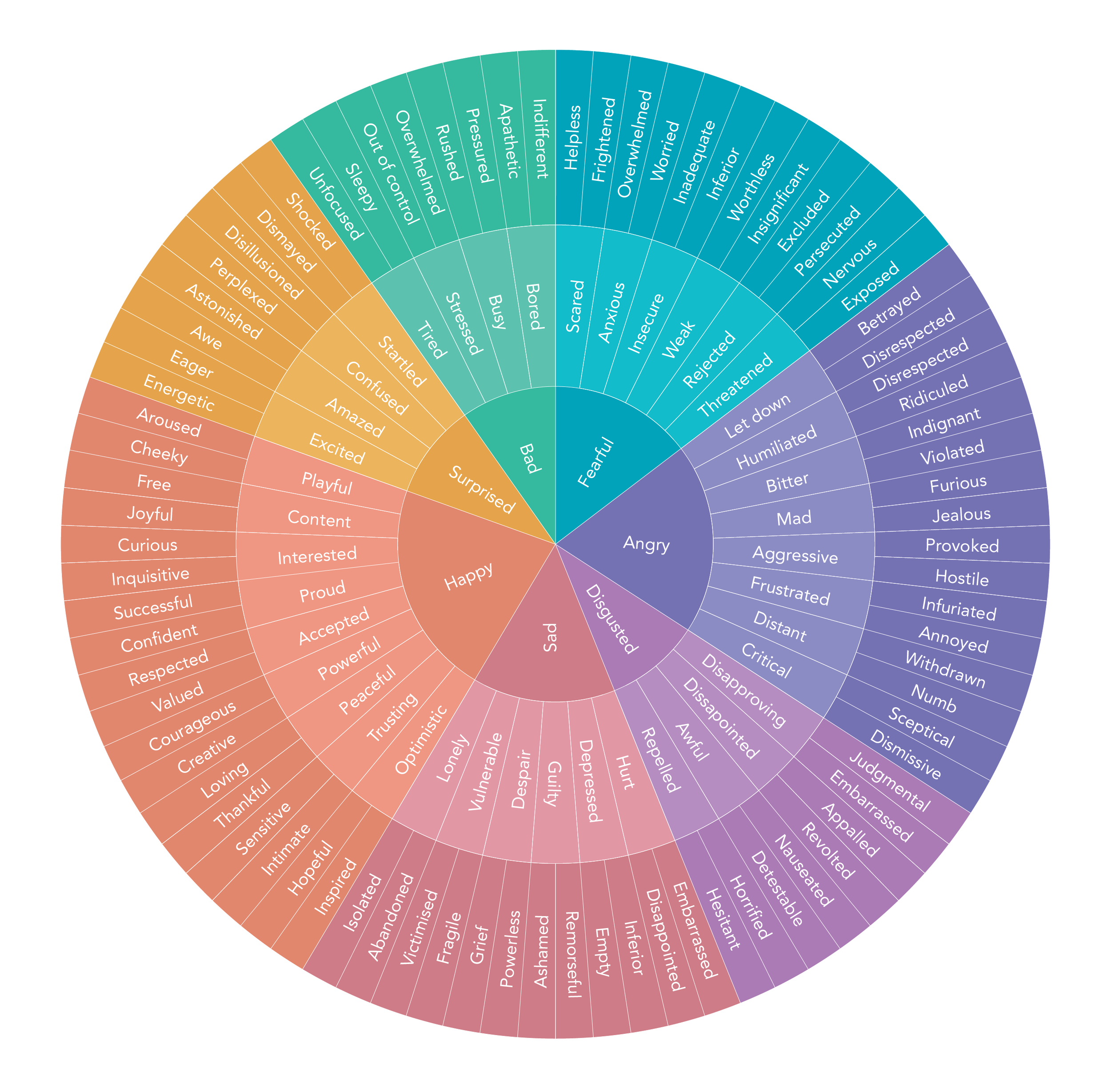 Displays Multicolored Emotions Educational Support for 