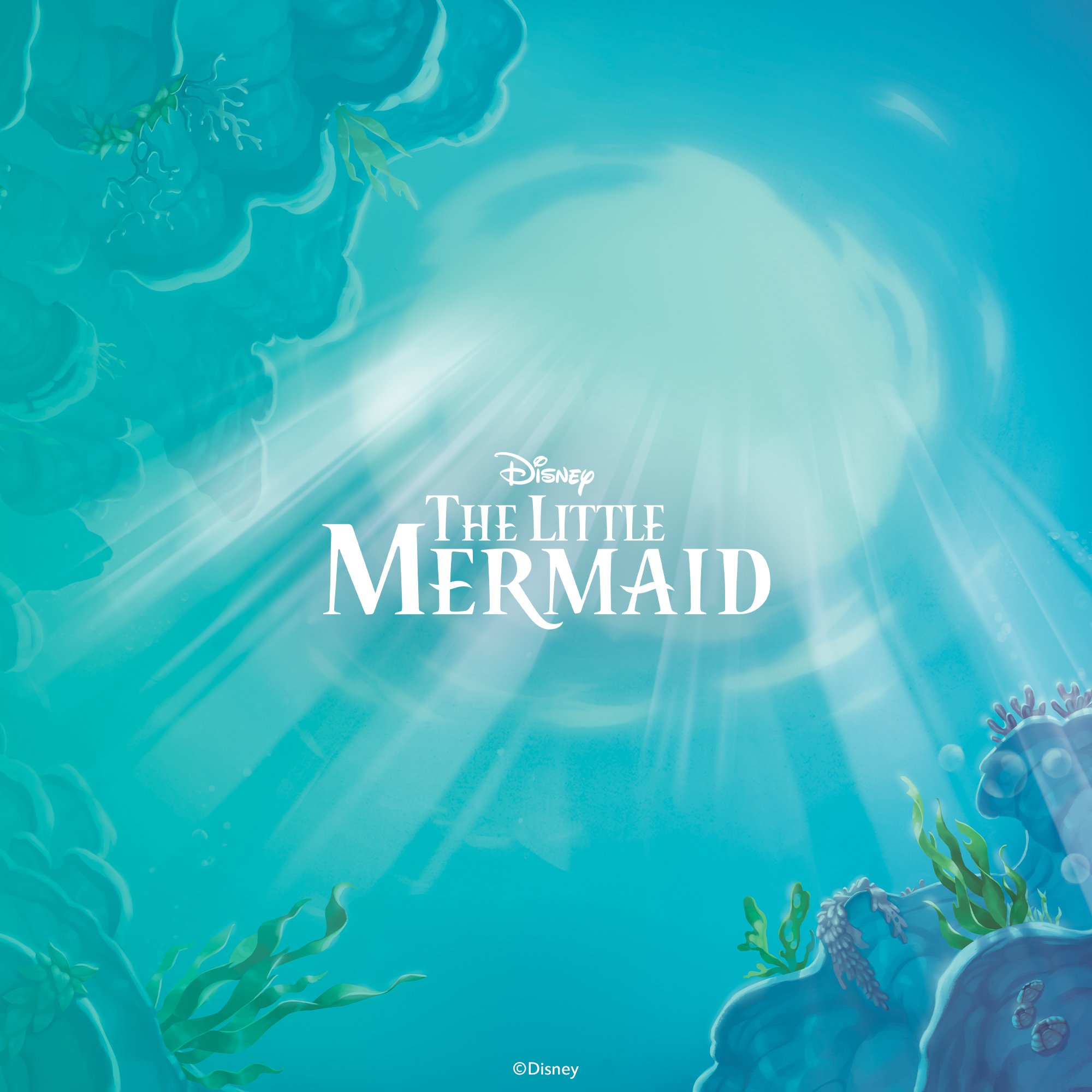 Ariel's Underwater World 1x1 with title.jpg
