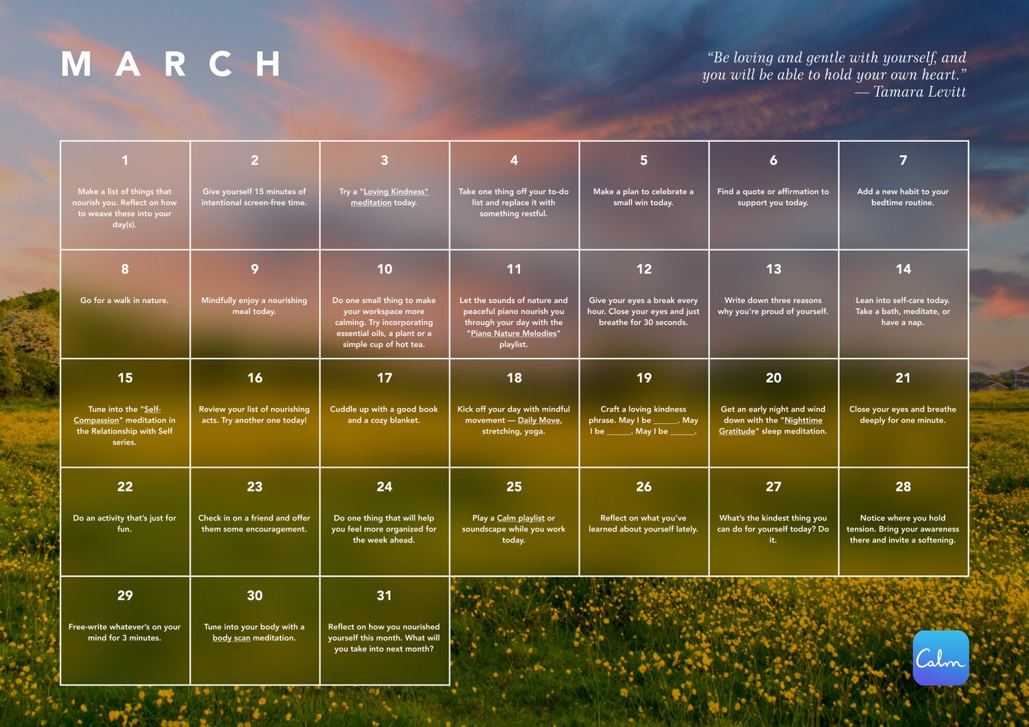 The Calm Calendar Daily mindfulness prompts to support your wellbeing