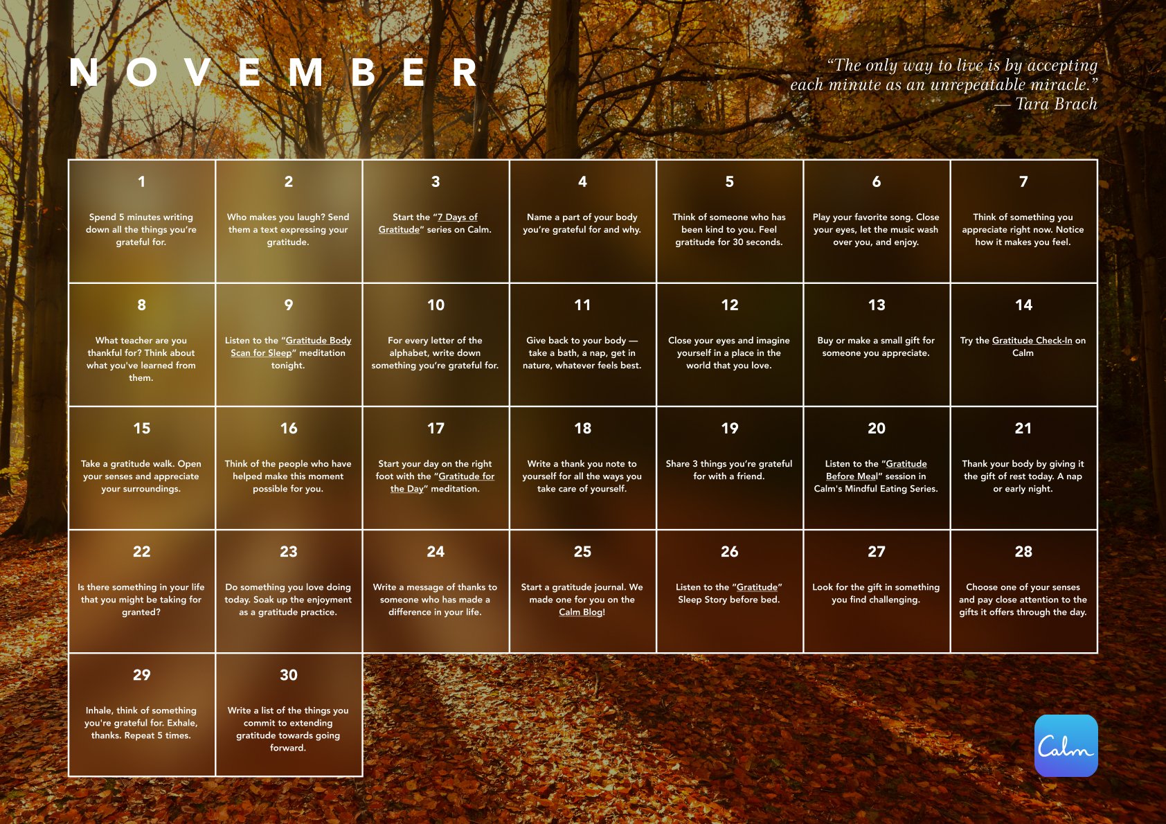 2024 Daily Calm Calendar November V1.jpg