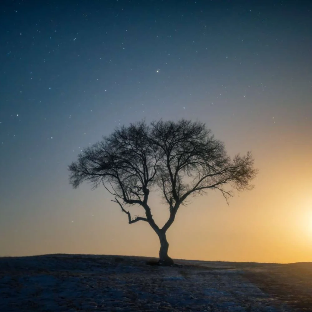 Fever dreams what they are, what they mean, and causes — Calm Blog