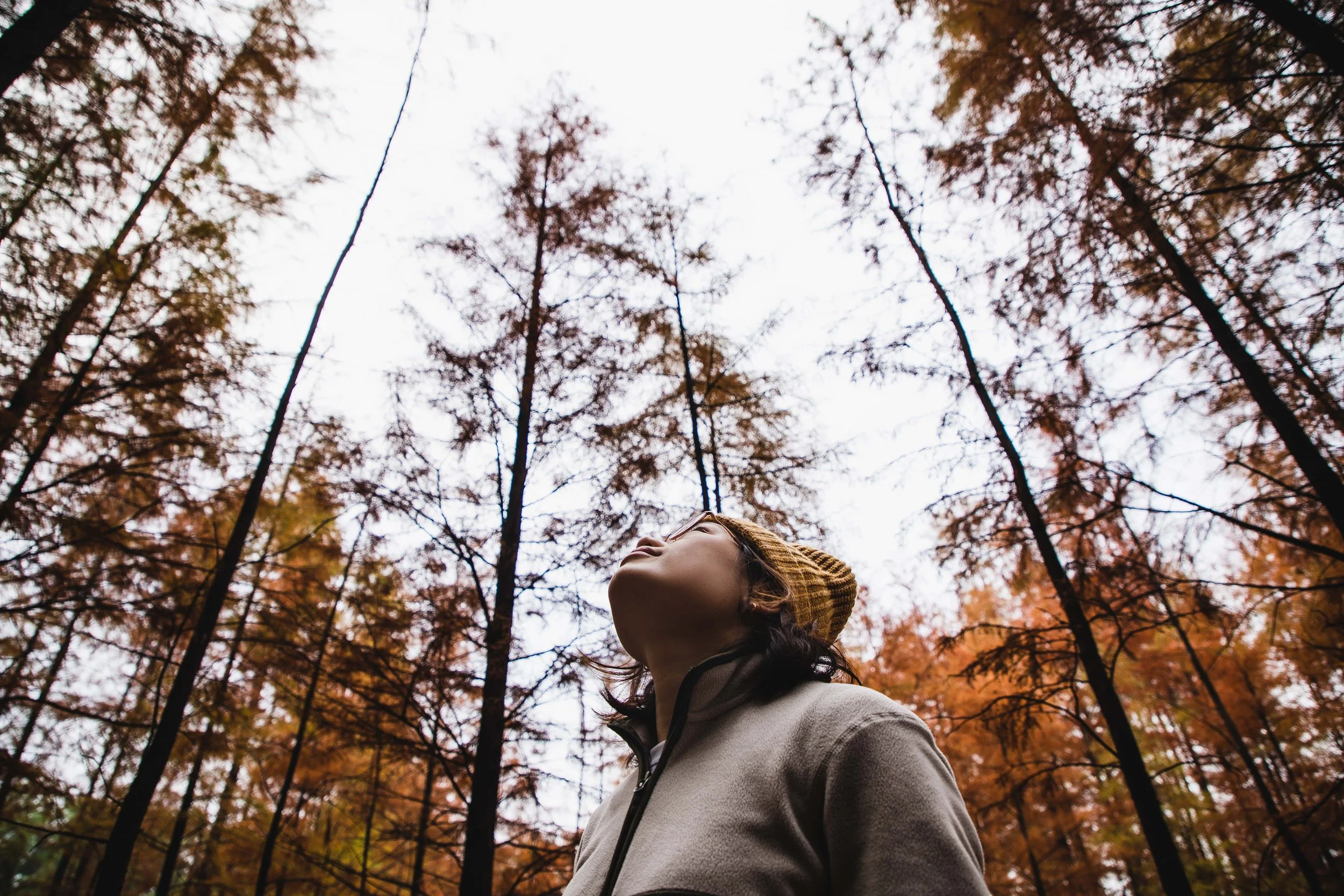 Walking meditation: what it is, how to do it, and why — Calm Blog