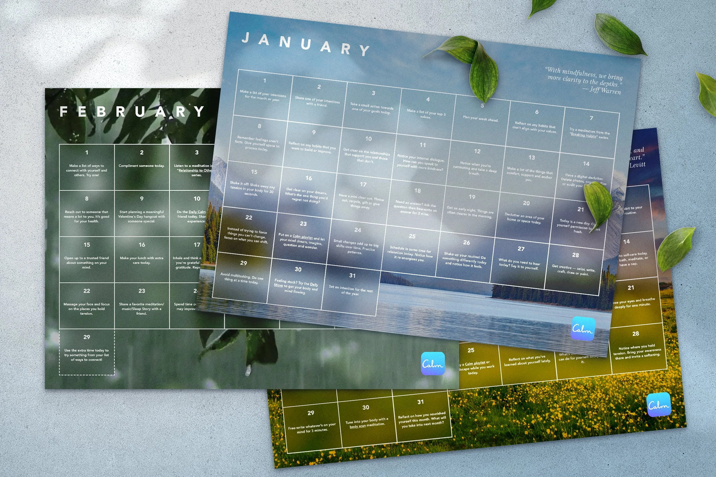 The Calm Calendar Daily mindfulness prompts to support your wellbeing