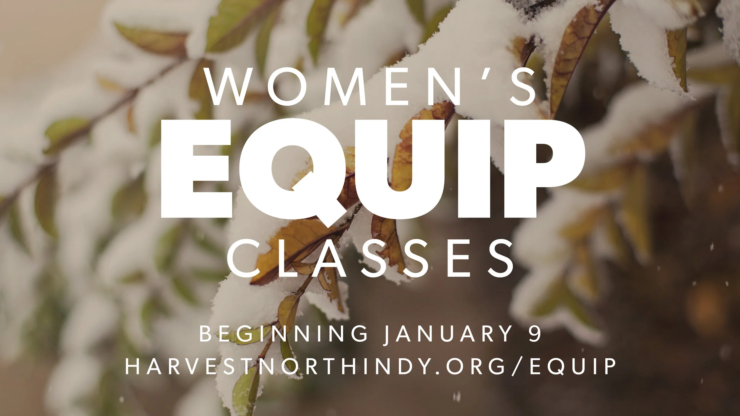 Women's Equip-01.jpg