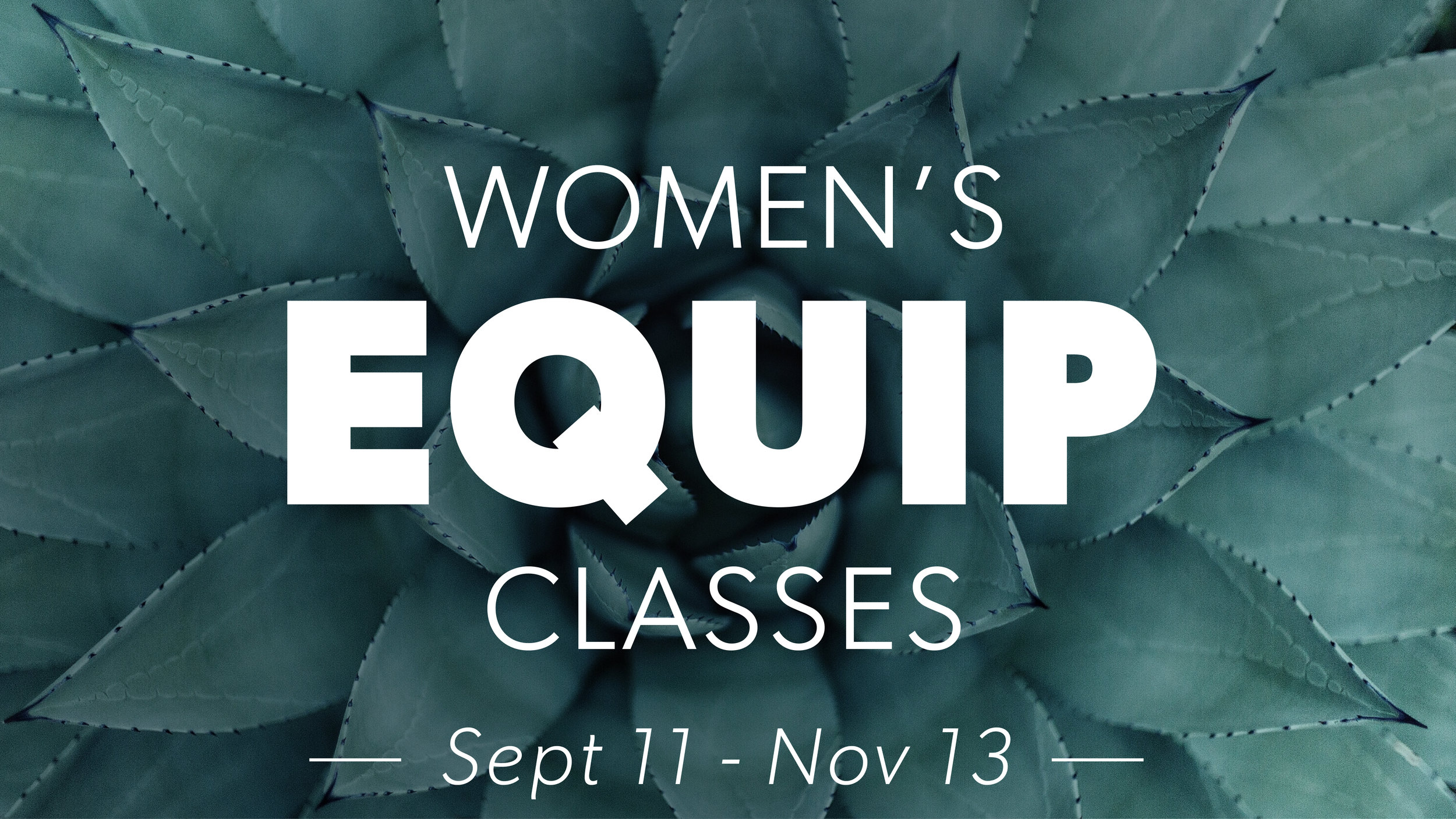 WOMENS EQUIP 2019-01.jpeg