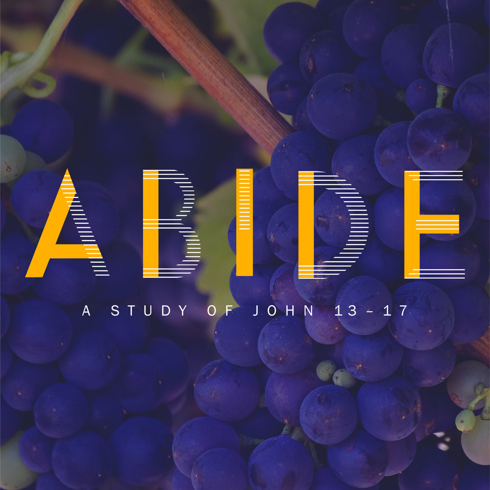 Abide - John 13-17.jpg