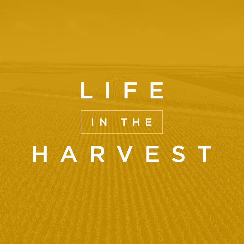 Life in the Harvest.jpeg