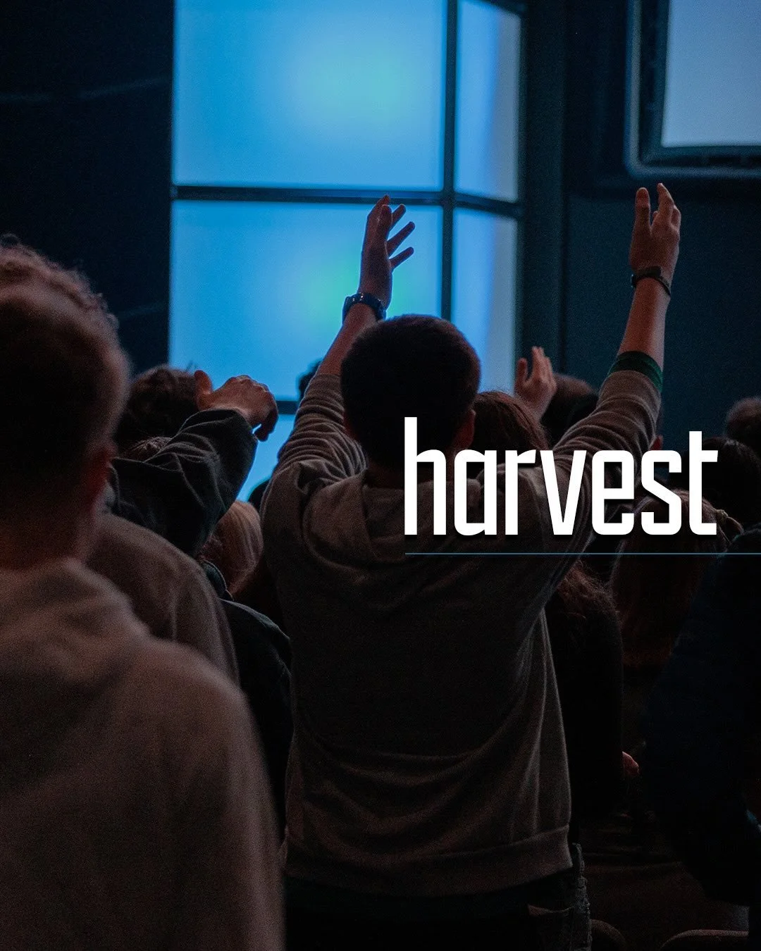 Sunday night recap 📸