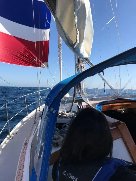 Spinnaker sailing off Dana Point
