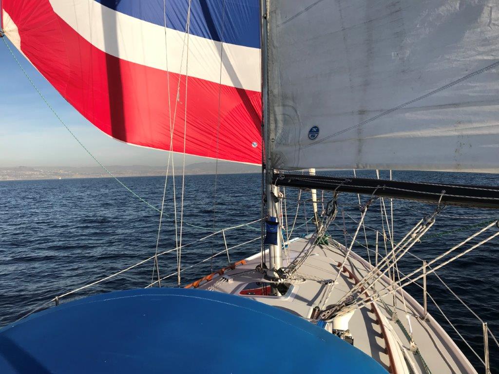 Wing and wing with the asymmetrical spinnaker
