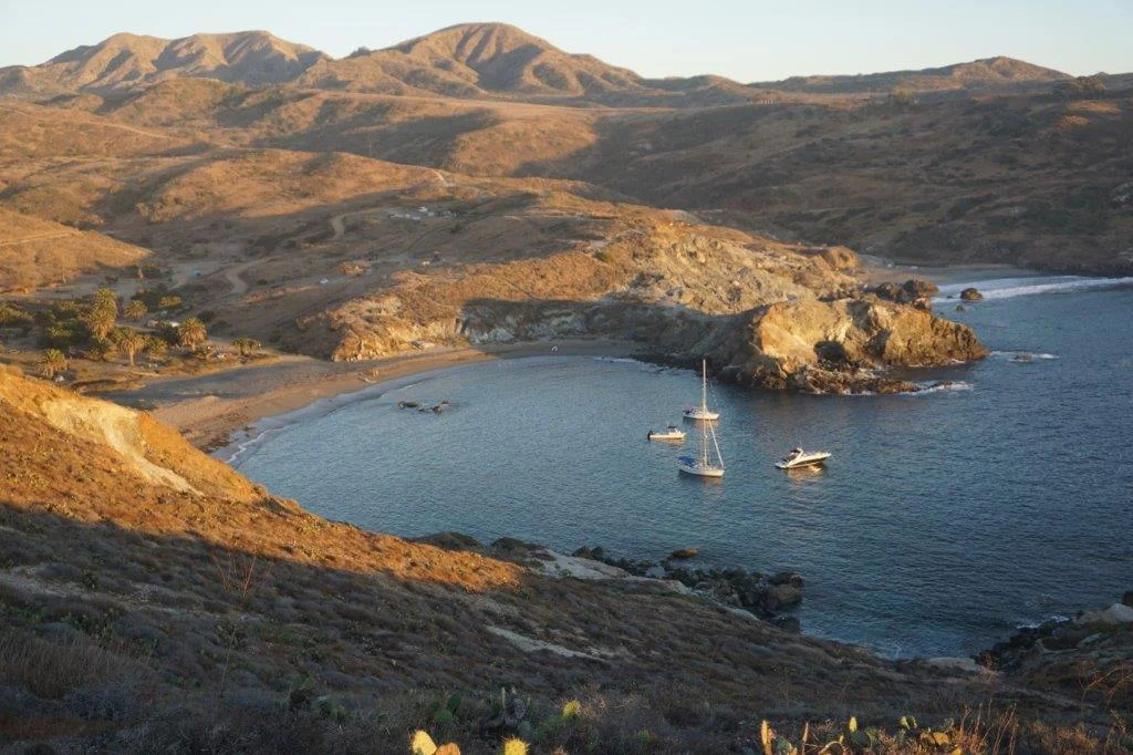 Little Harbor, on the back side