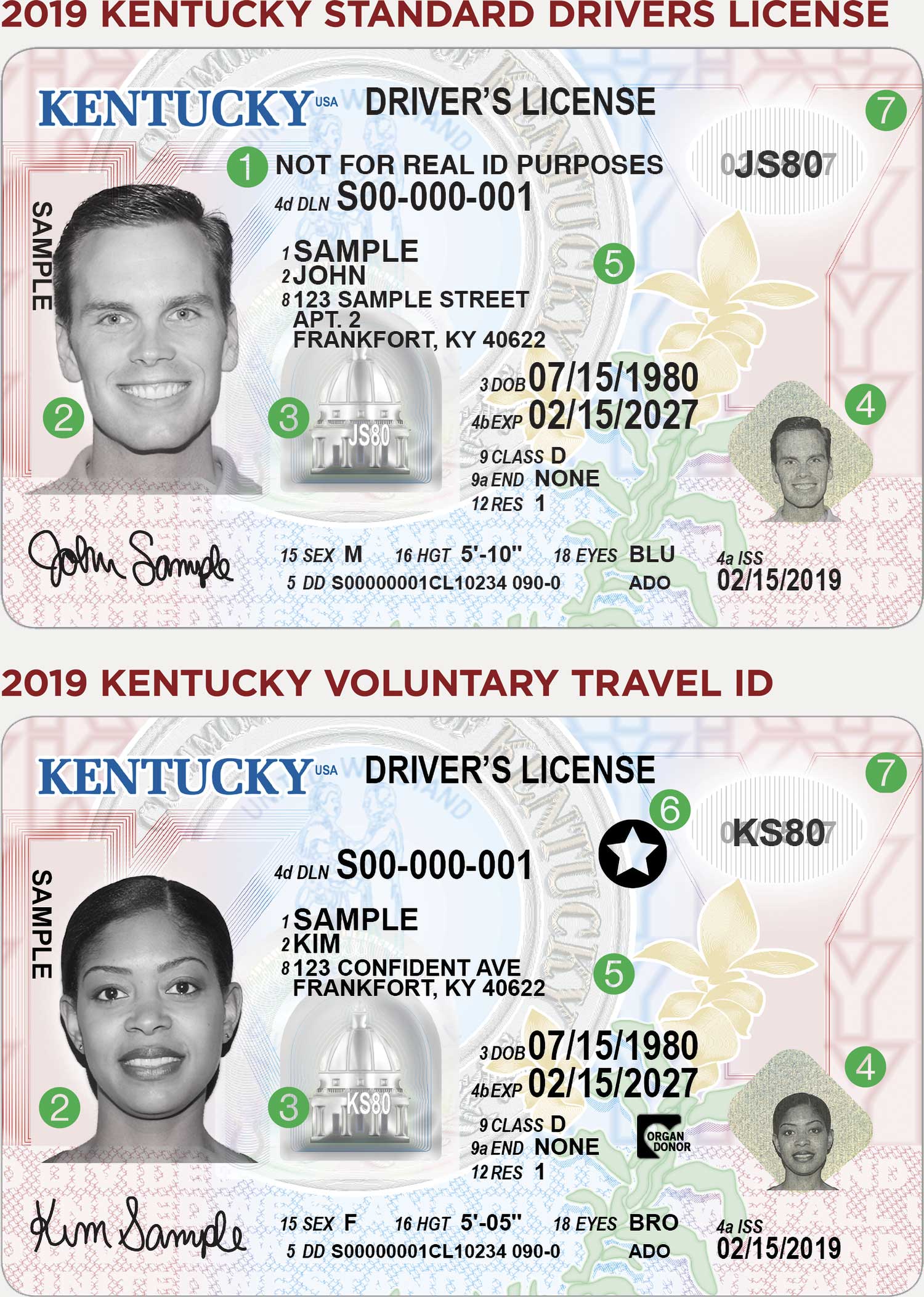 Kentucky Driver's License Portal