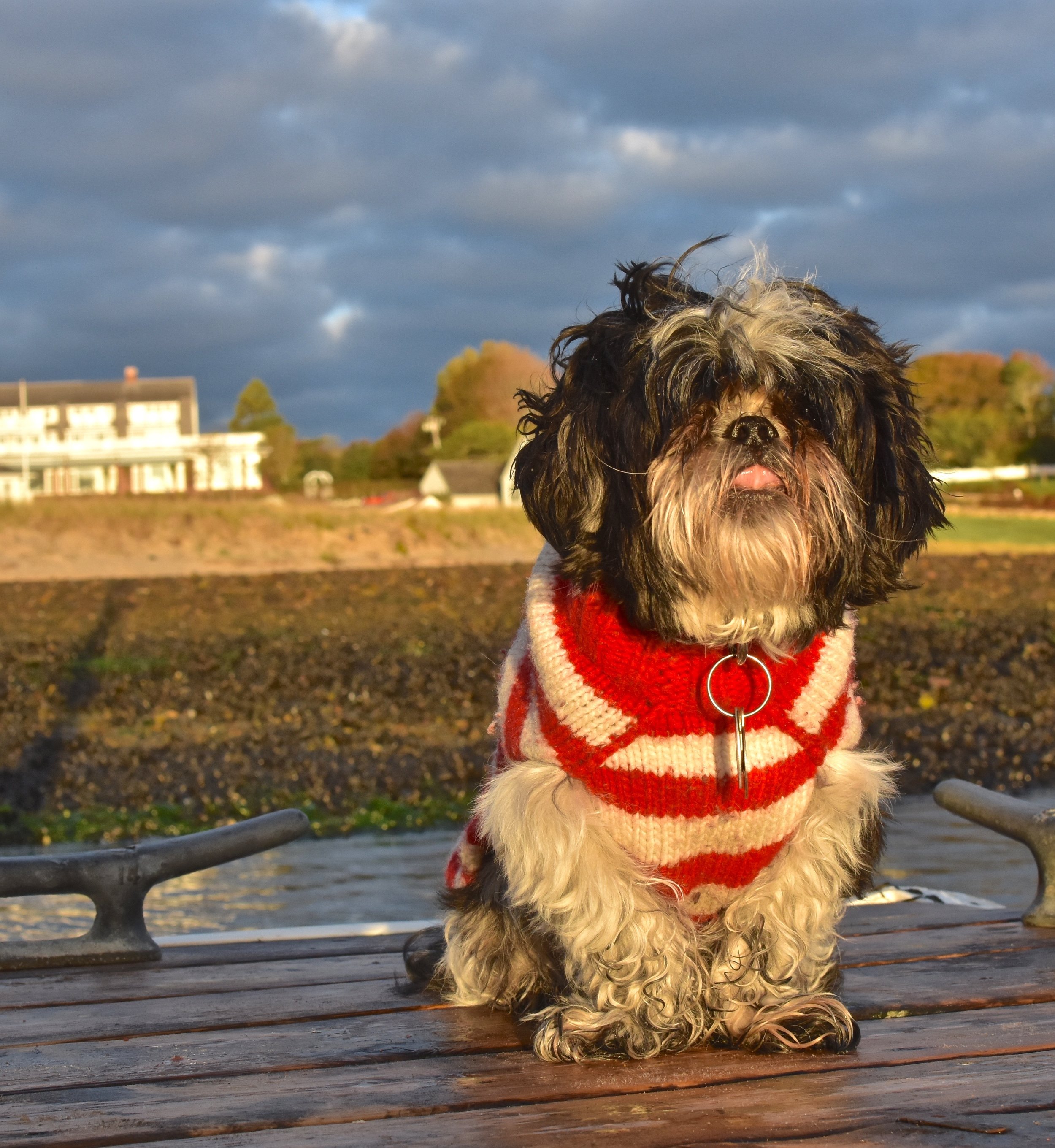 Watching the sun rise at the Chatham Bars Inn