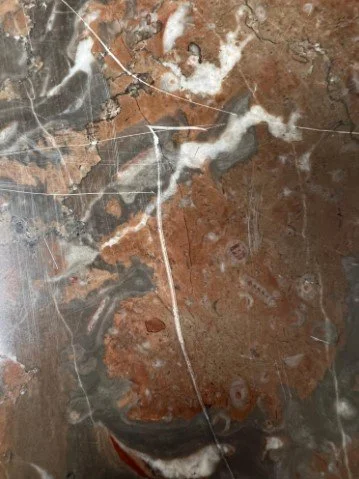 Screenshot 2022-10-26 145327.jpg