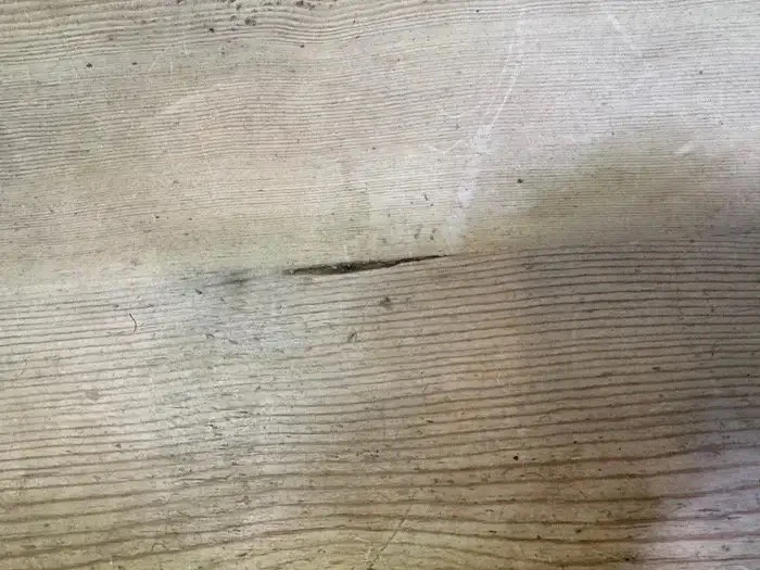 Image 9.jpeg