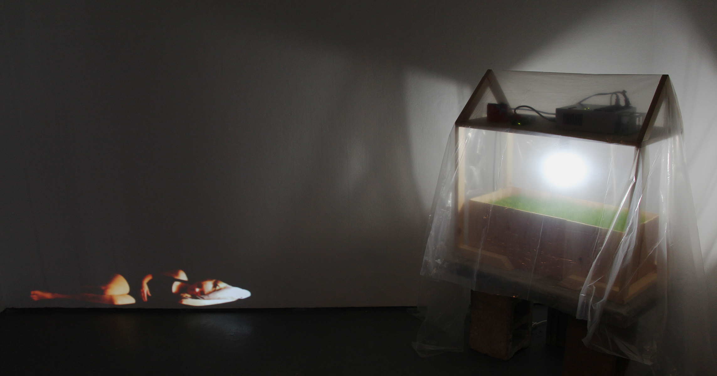    Empathy   ; wood, arduino, DMX board, dimmable LED, Johnson grass, clover, and projection; 2015   