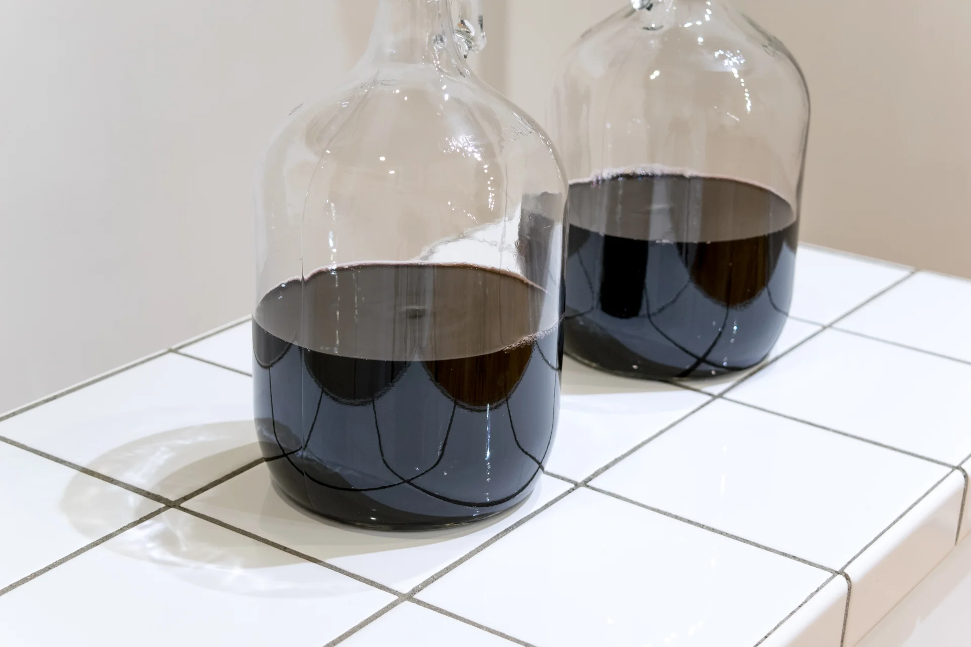 Lacuna_Ethridge_7.jpg