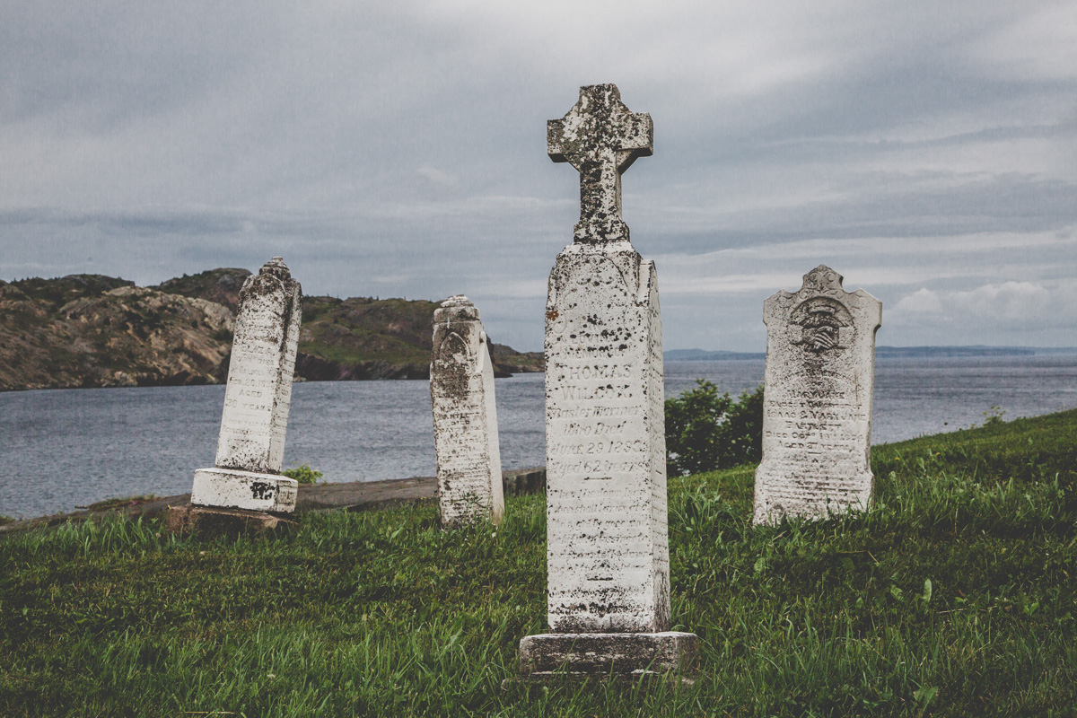 NEWFOUNDLAND_CANON_016.jpg