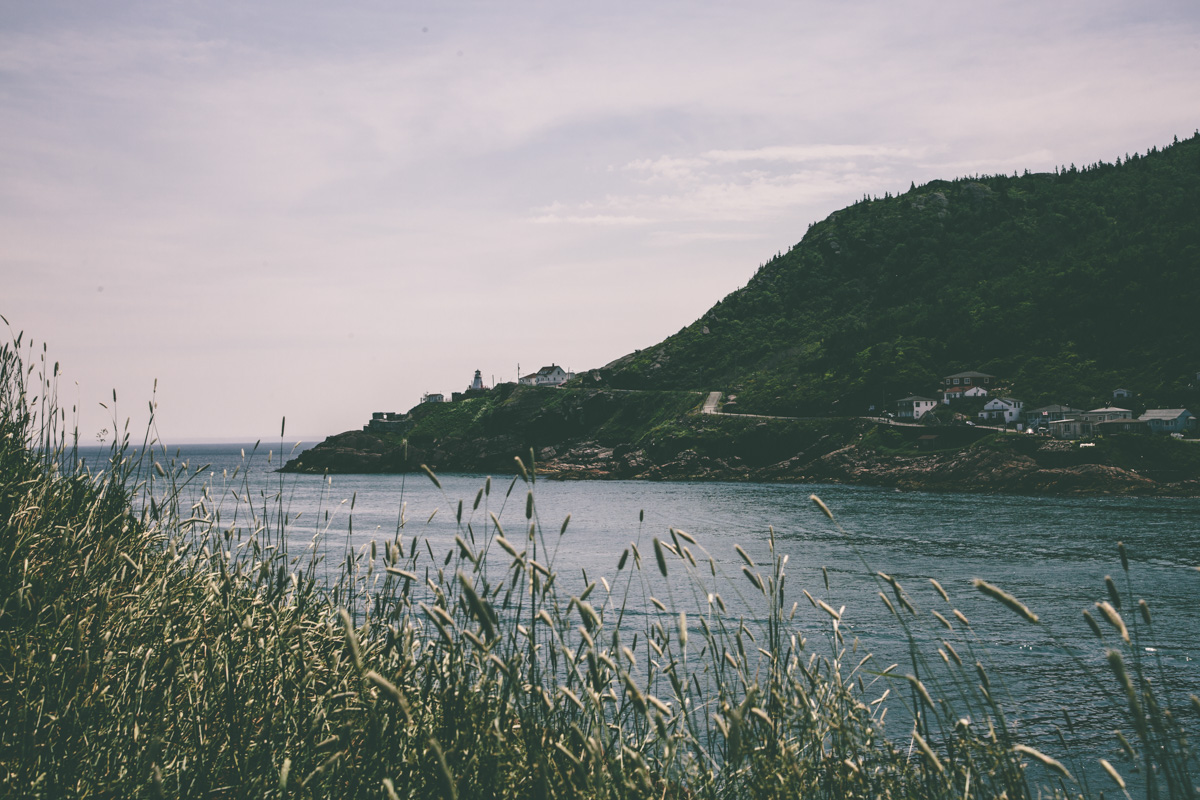 NEWFOUNDLAND_CANON_040.jpg