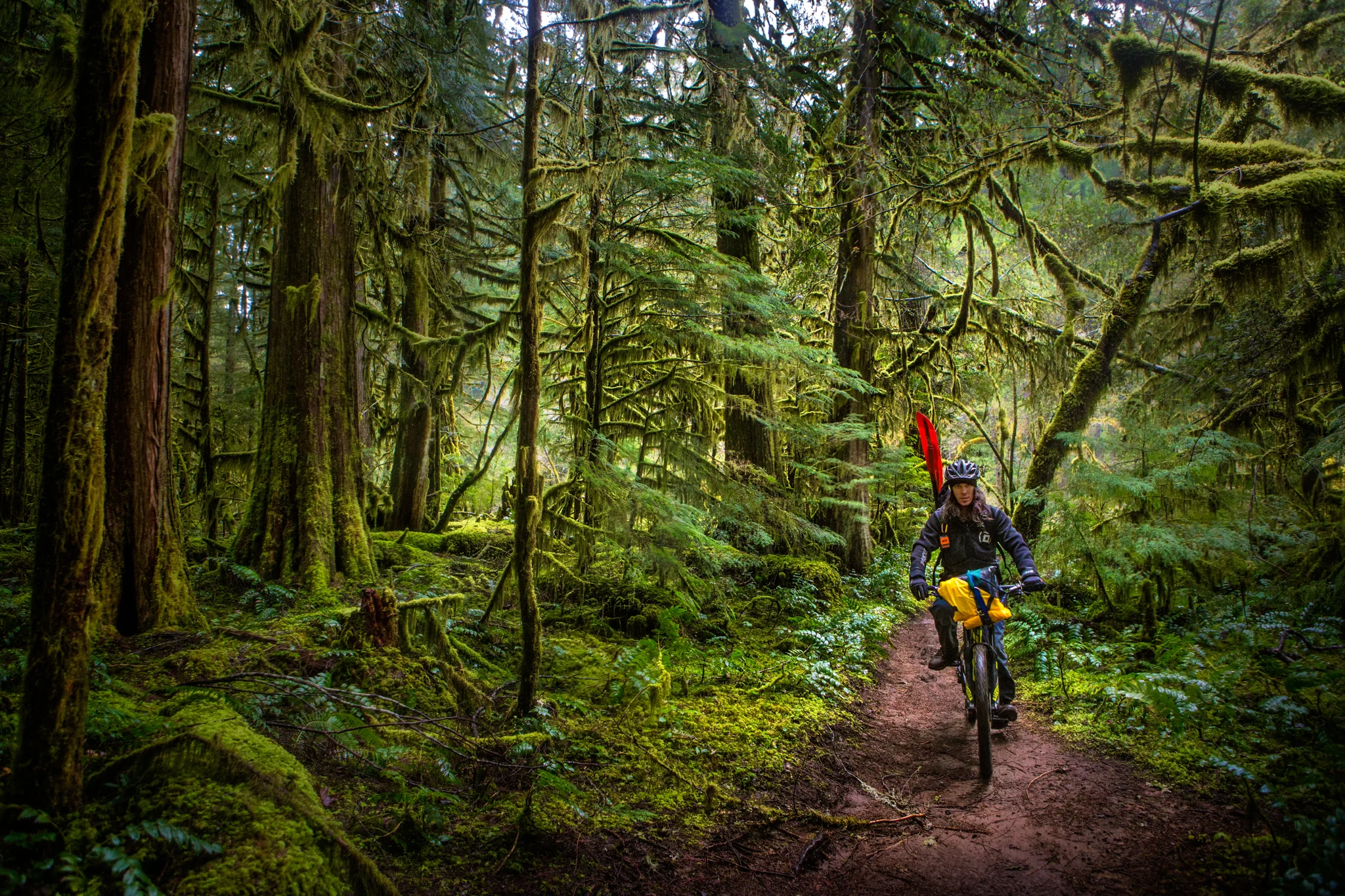 Kokopelli Oregon Web-3.jpg