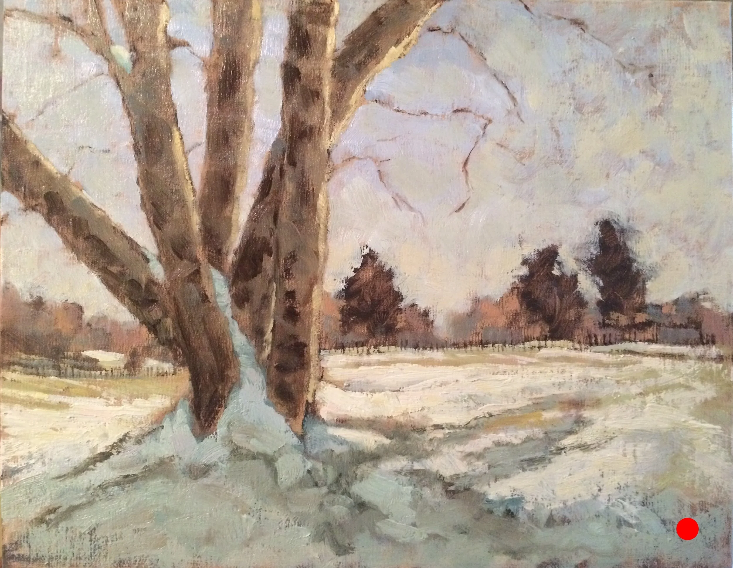 The Day After A Snow.JPG