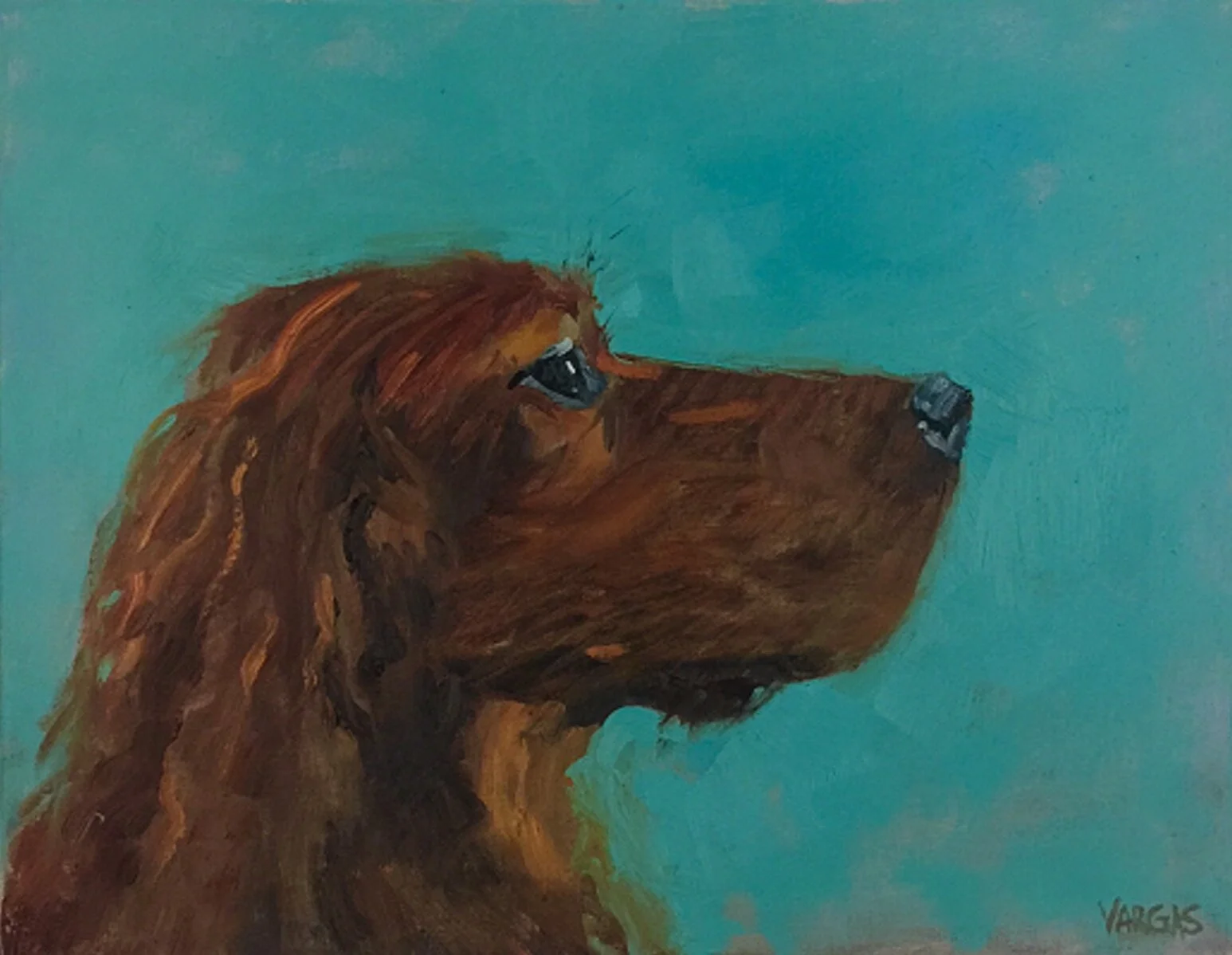 Profile of an Irish Setter.JPG